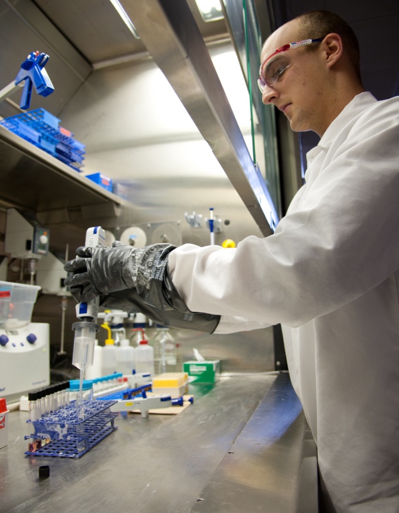 A laboratory worker in a white coat and protective gloves pipetting at a fume cupboard